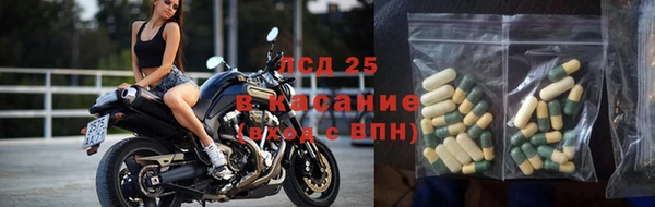 тгк Богородицк